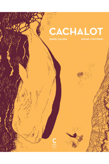 Cachalot cambourakis