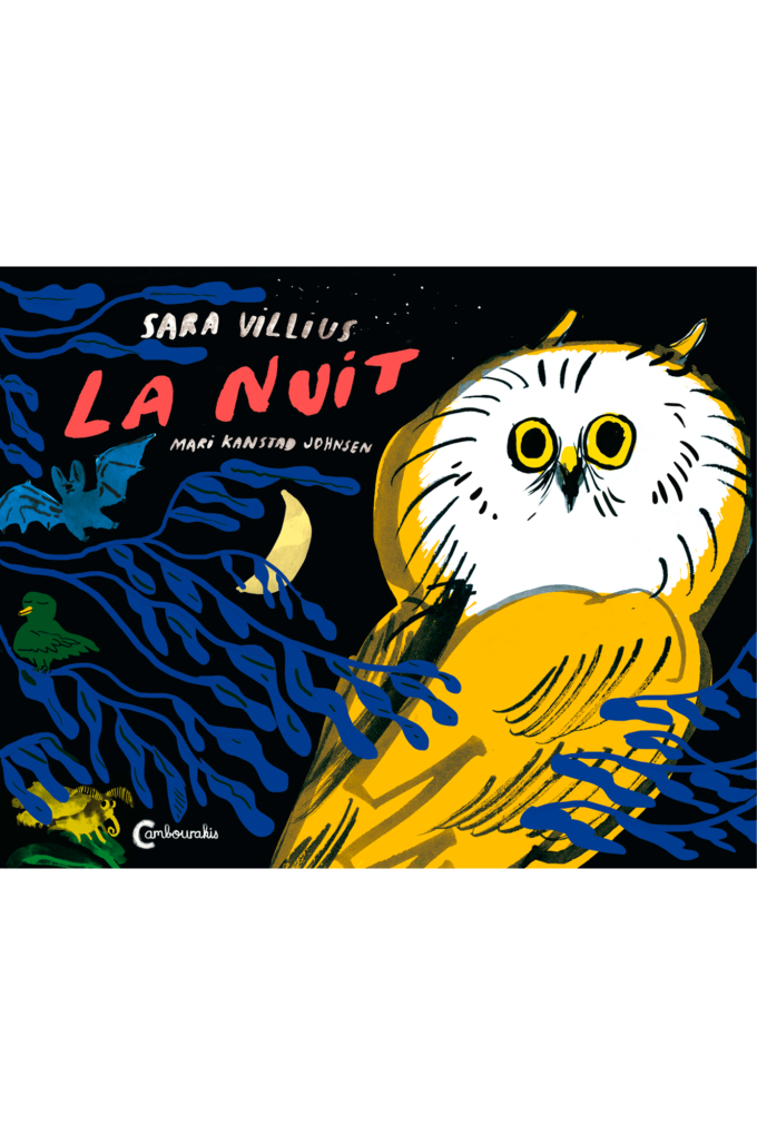 Couverture de l'album jeunesse "La nuit" de Sara Vilnius et Mari Kanstad Johnsen
