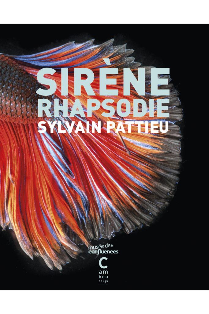 Pelote De Fil Phildar Sirène Gypse - Doré - Neuve - Pour Tricot/crochet