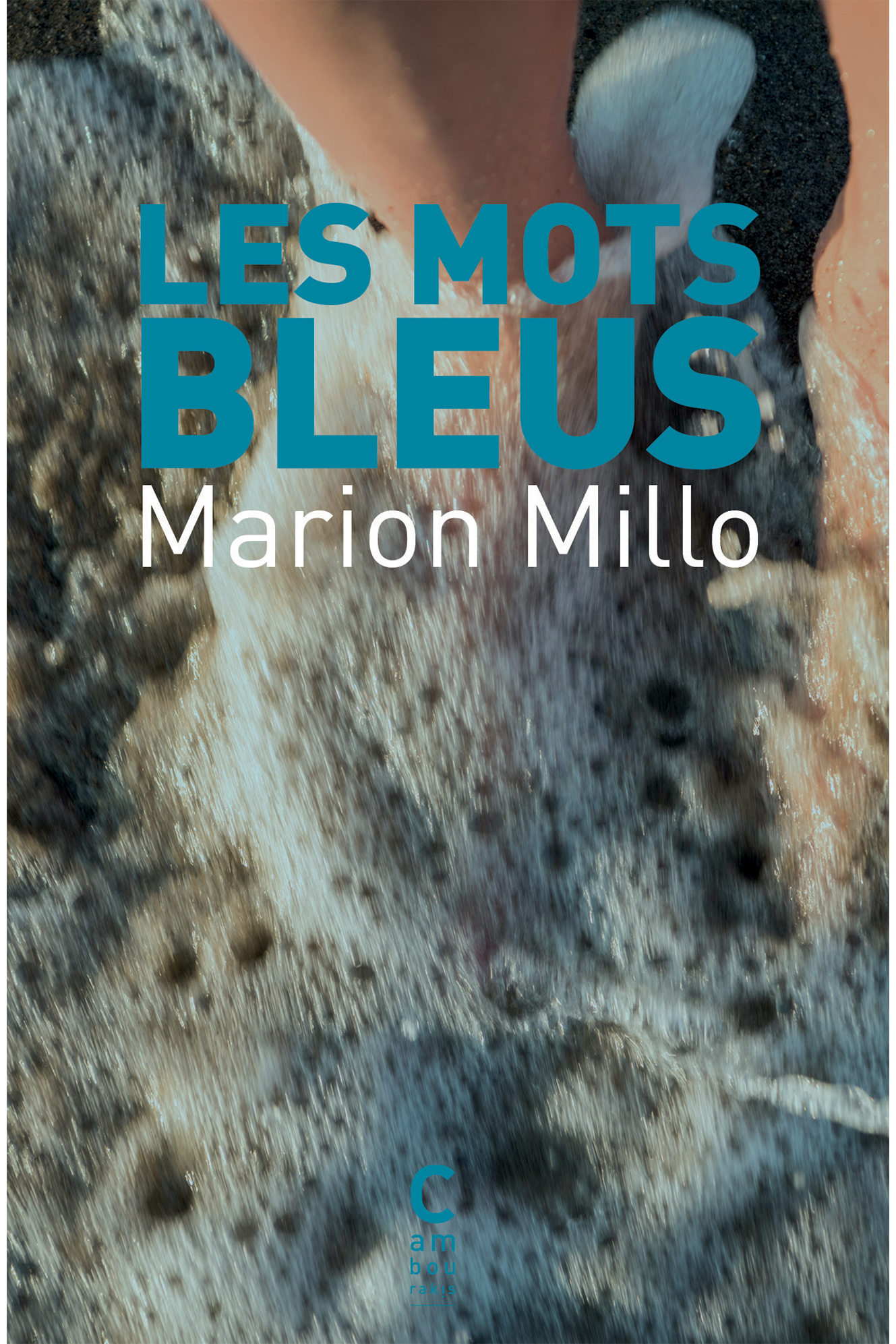 Les Mots bleus_POCHE_COUVE