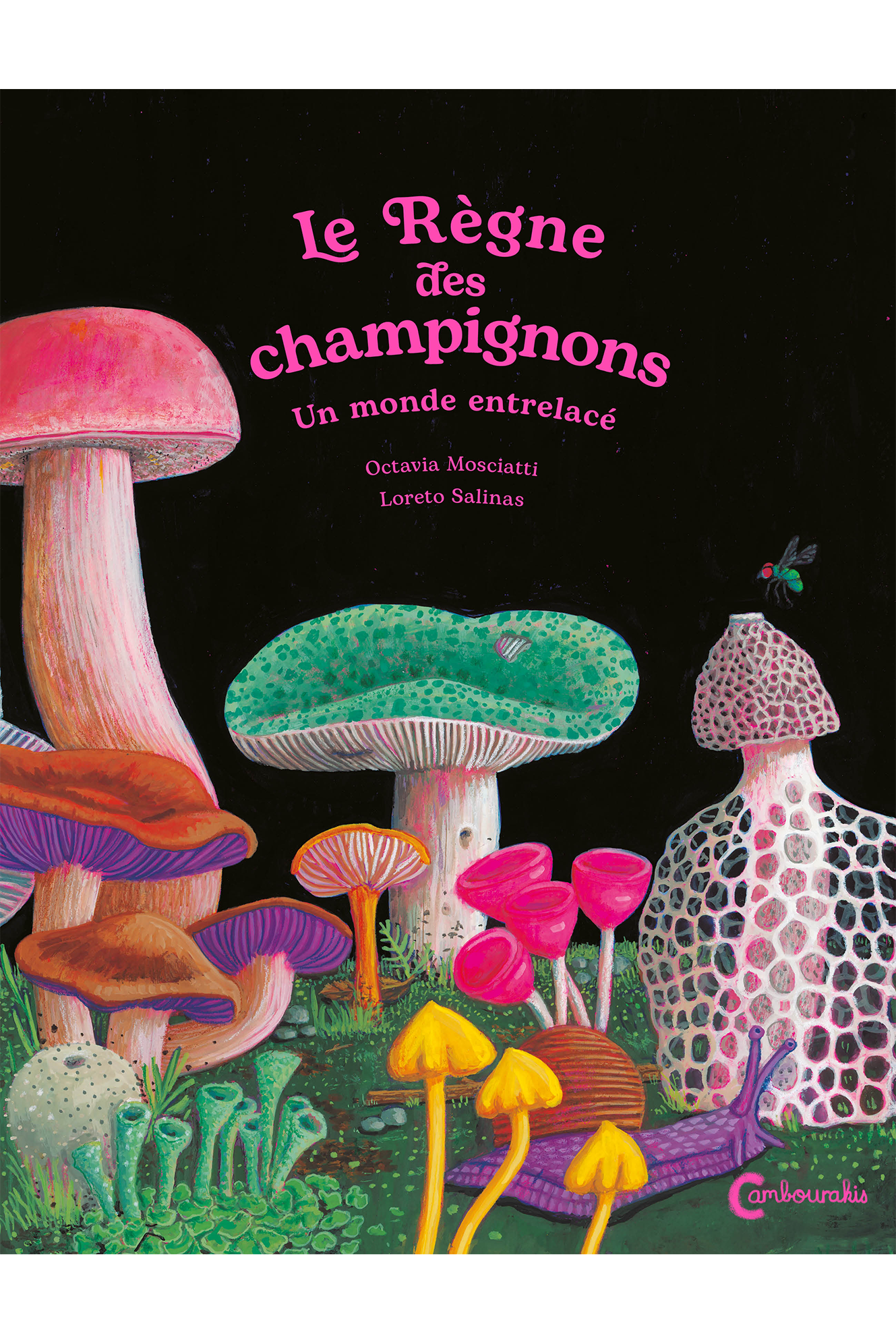 Reino fungi_COUVE